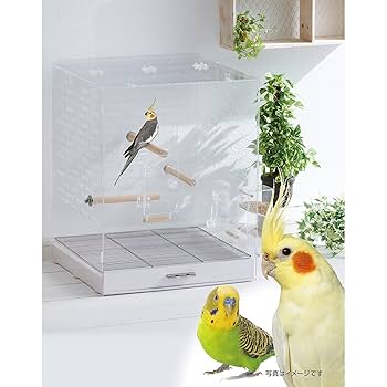 最終価格！ 中型インコ用鳥かご　ジェックス コトリウム460-II コトリウム460-2 : ペットの専門店コジマ - 通販 - Yahoo
